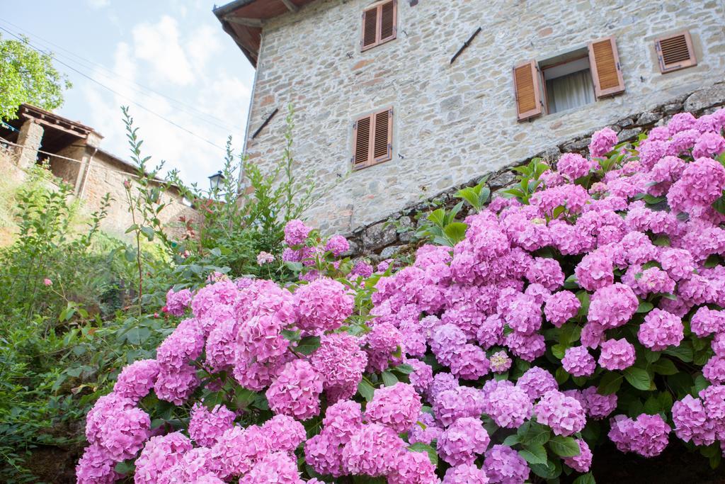 Il Borgo Dei Corsi - Charming Holiday Apartments Ortignano Raggiolo Exterior foto